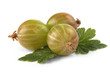 green gooseberries