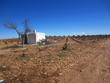 paisaje de viñedos
