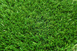 Photo: grass grass