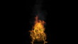 Fire 04