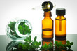 essential oil with oregano leaves
