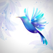 Hummingbird on pastel background