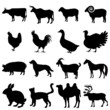 Farm animals vector illustrations