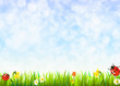 sommerwiese