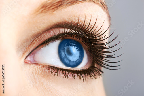 Photo: female blue eye with false lashes female blue eye with false lashes