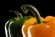 Photo: green and yellow sweet pepper on a black background green and yellow sweet pepper on a black background