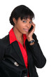 Businesswoman speaking to client over the telephone