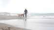 Video: Man holding ball for game with dogs at beach Man holding ball for game with dogs at beach