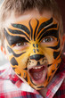 Boy with a tiger make-up