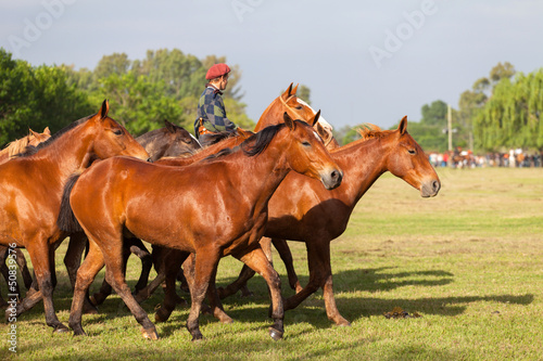 Photo: Horses at gaucho festival, Argentina Horses at gaucho festival, Argentina