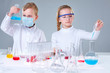 Young researchers
