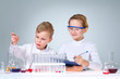 Scientific project