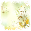 Floral background, meadow in summer time