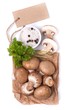 Fresh champignons
