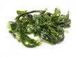 Meersalat