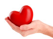 Red heart in man hand, isolated on white