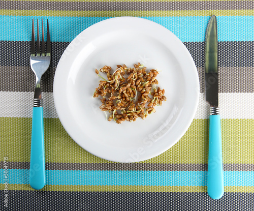 Photo: Wheat germs on plate, close up Wheat germs on plate, close up