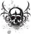 black skull