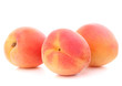 Ripe apricot fruit