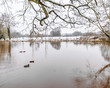 Photo: river river