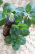 Foto: mint essential oil mint essential oil