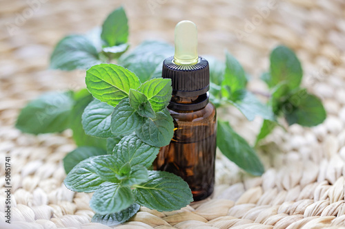 Photo: mint essential oil mint essential oil