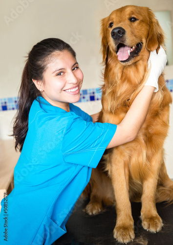 Photo: Beautiful dog at the vet Beautiful dog at the vet