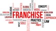 word cloud - franchise