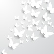 Background with Butterflies