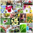 Gardening people collage.