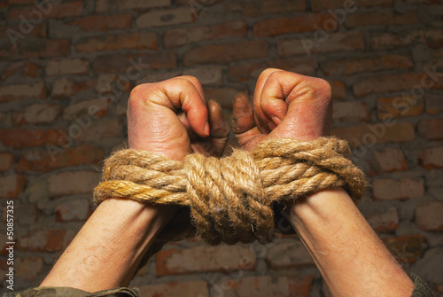 Photo: Hands tied up with rope Hands tied up with rope