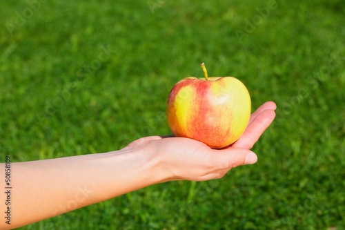 Photo: Hand of a young woman held an apple. Hand of a young woman held an apple.