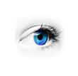 canvas print picture - Auge