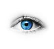 canvas print picture - Auge