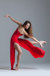 the dancer