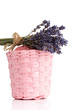 Lavender.