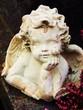 Engel , Figur