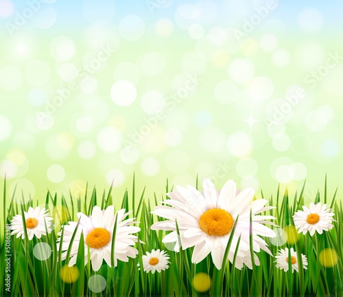 Vector: Nature background with green grass and flowers and blue sky. Vec Nature background with green grass and flowers and blue sky. Vec