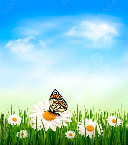 Vector: Nature background with green grass and flowers witn butterfly. V Nature background with green grass and flowers witn butterfly. V