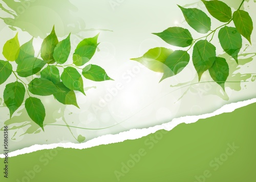 Vector: Nature background with green spring leaves and ripped paper. Vec Nature background with green spring leaves and ripped paper. Vec