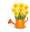 Yellow Fresh Spring Flowers In... Yellow Fresh Spring Flowers In...