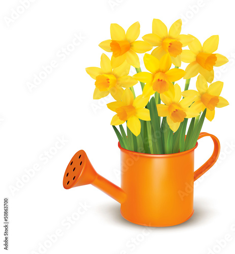 Vector: Yellow fresh spring flowers in green watering can. Yellow fresh spring flowers in green watering can.