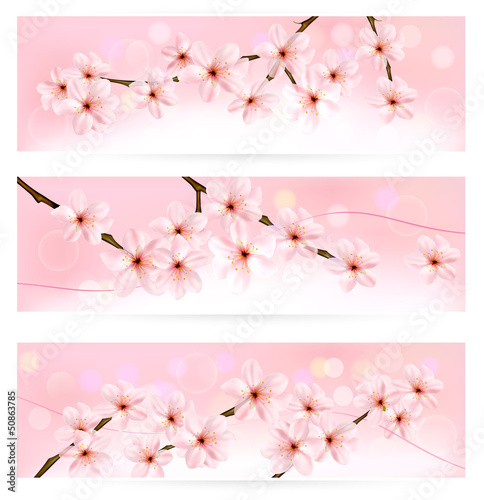 Vector: Three spring banners with blossoming tree brunch Three spring banners with blossoming tree brunch