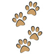traces of cat