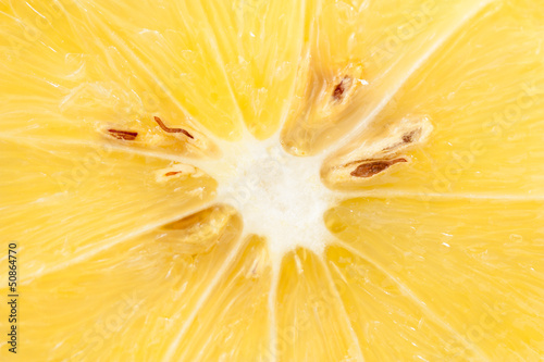 Photo: Lemon slice close-up Lemon slice close-up