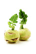 Foto: Kohlrabi Kohlrabi