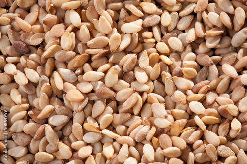 Photo: Pile of white sesame grains Pile of white sesame grains