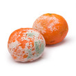 citrus fruits