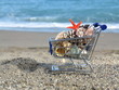 vacation sale holiday