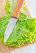 fresh salad